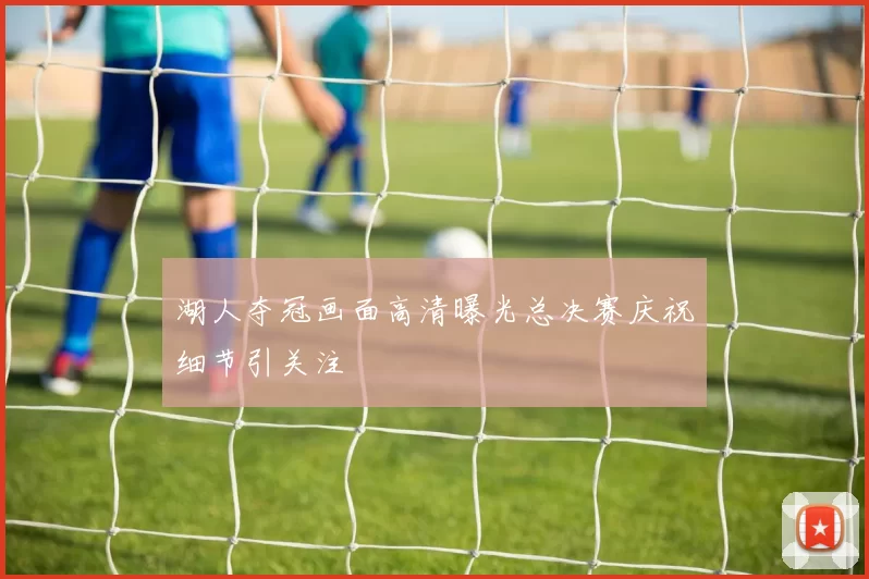 湖人夺冠画面高清曝光总决赛庆祝细节引关注