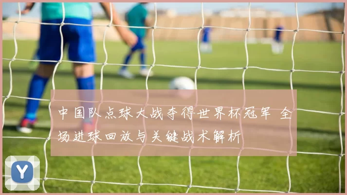 中国队点球大战夺得世界杯冠军 全场进球回放与关键战术解析