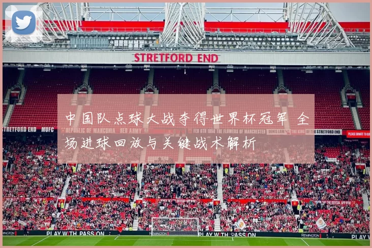 中国队点球大战夺得世界杯冠军 全场进球回放与关键战术解析
