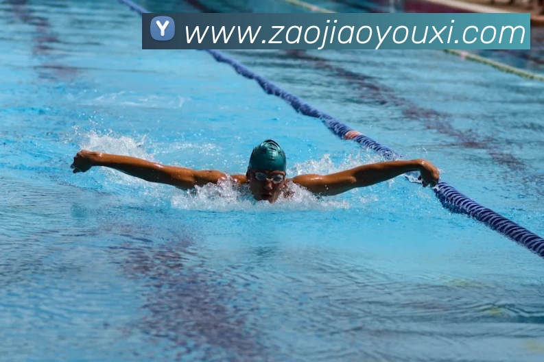 云开·kaiyun(中国)体育官方网站 - 登录入口平台生态图